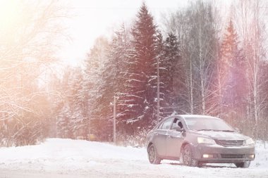 Gri ormandaki yolda arabadır. Ülke gezisi