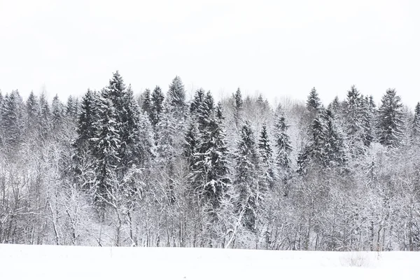 Landscape in the winter cloudy day — Stock Photo, Image