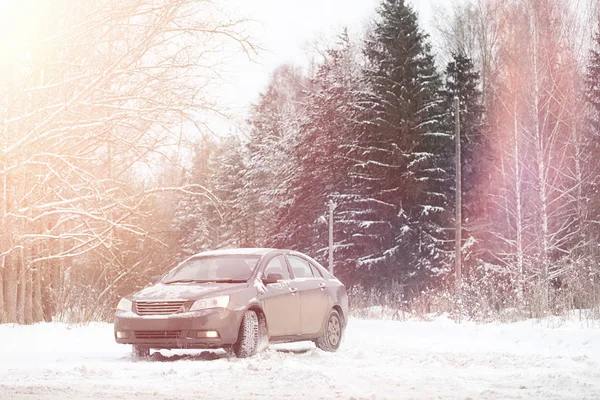 Das Auto ist grau auf der Straße im Wald. eine Reise ins Land — Stockfoto