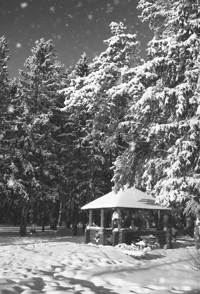 Einfarbige Holzlaube im Wald an einem sonnigen Wintertag — Stockfoto