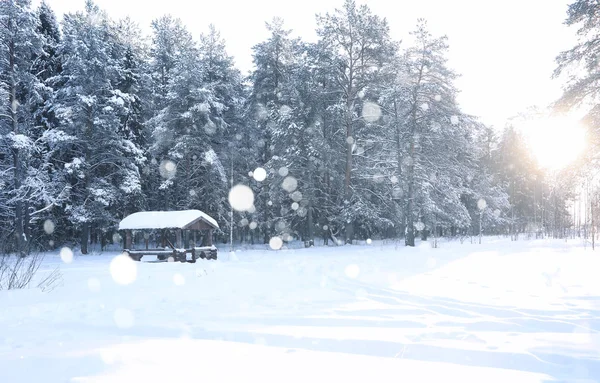 Holzlaube im Wald im winterlichen Schneesturm — Stockfoto