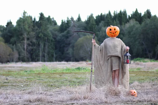 Scarecrow pumpkin head in field — Stock Photo, Image