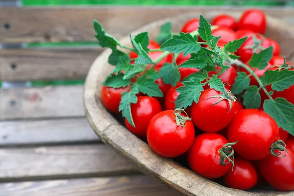 Fresh tomato crop in a wooden bowl — Stock Photo, Image