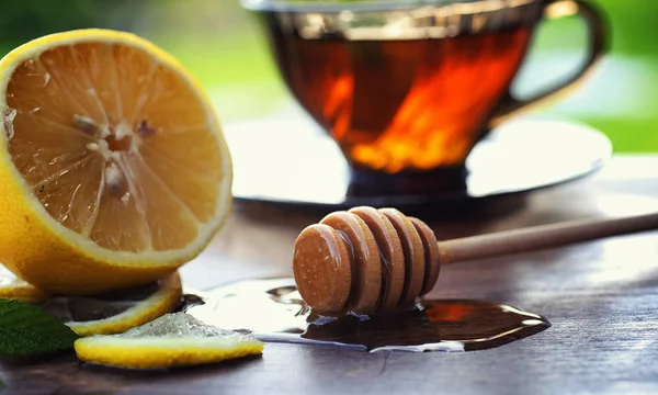 Tee mit Zitrone und Minze in der Natur. eine Tasse heißen Minztee mit le — Stockfoto