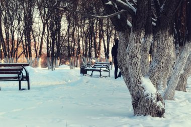 Kış Park bankında sokak