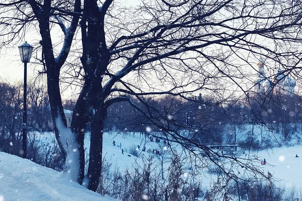 Zimowe światło ulicy i drzewa — Zdjęcie stockowe
