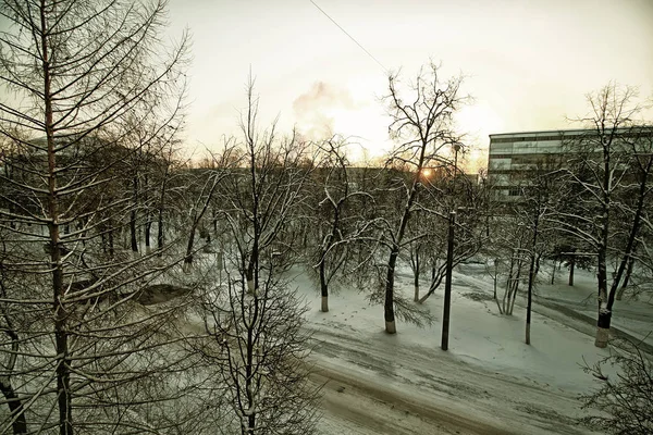 Città inverno vicolo albero — Foto Stock