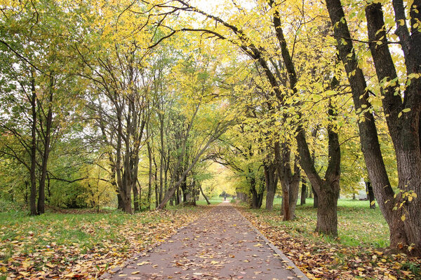 Дети на улице играют