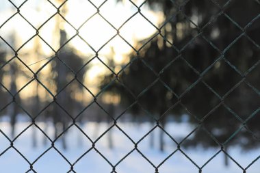 Kış manzara kar expanses kaplı. Kışın bir parkta 