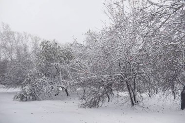 Karla kaplı Kış park ve banklar. Park ve beslenme için pier 