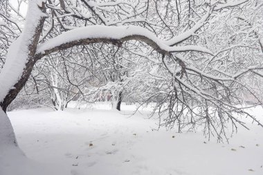 Karla kaplı Kış park ve banklar. Park ve beslenme için pier 