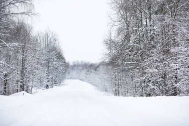 Kış bulutlu günde manzara