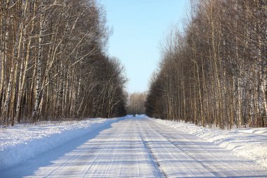 kış günü bir ormanda boş kırsal yol 