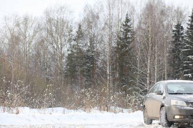 Gri ormandaki yolda arabadır. Ülke gezisi