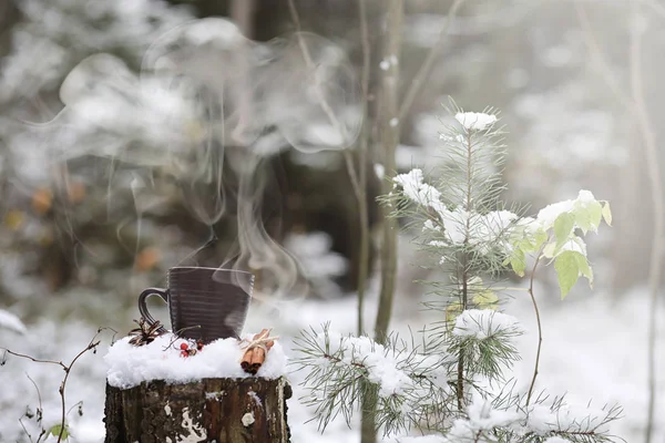 冬の森でホットド リンクのカップ。ホットココア cinn と — ストック写真