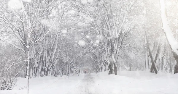 눈 덮인 겨울 공원 그리고 벤치입니다. 공원 및 먹이 대 한 부두 — 스톡 사진