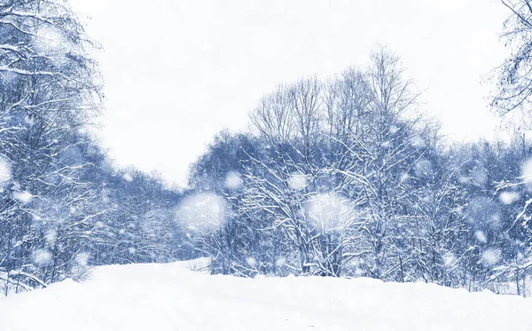 Landschap in de winterdag — Stockfoto