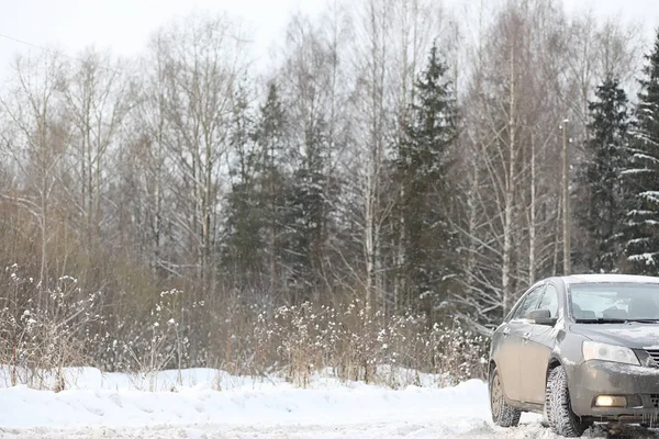 Gri ormandaki yolda arabadır. Ülke gezisi