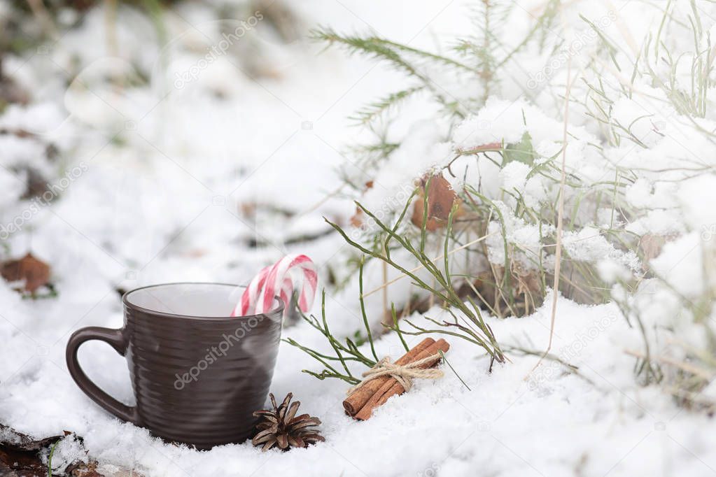 A cup with a hot drink in the winter forest. Hot cocoa with cinn