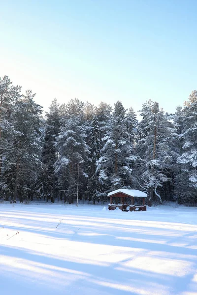 Gazebo de madera en el bosque en invierno día soleado — Foto de Stock