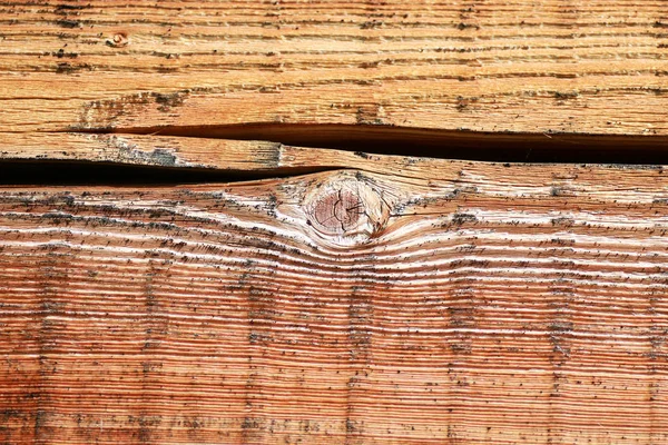 Texture d'une poutre en bois de bouleau — Photo
