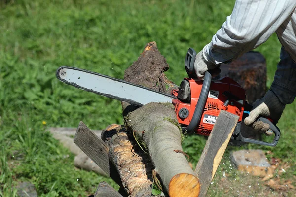 Yakacak odun kesmek için testere — Stok fotoğraf