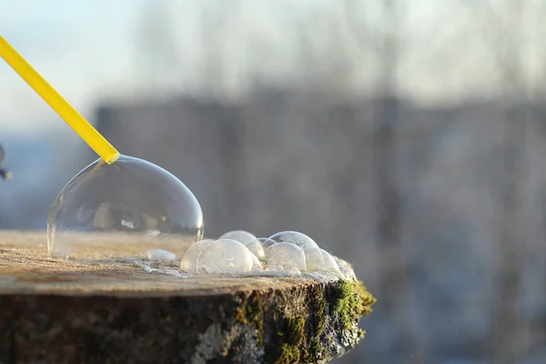 Soap bubbles freeze in the cold. Winter soapy water freezes in t — Stock Photo, Image