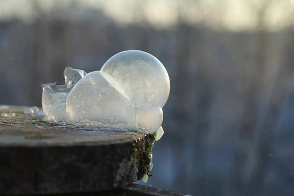 Las burbujas de jabón se congelan en el frío. Invierno agua jabonosa se congela en t — Foto de Stock