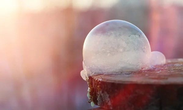 As bolhas de sabão congelam no frio. A água ensaboada do inverno congela em t — Fotografia de Stock