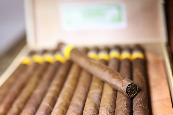 Large box of Cuban cigars on a wooden table — Stock Photo, Image