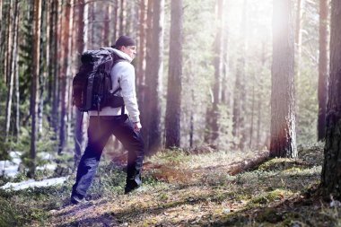 Bir turist bir çam ormanı ile bir sırt çantası içinde bir adamdır. A tr hiking