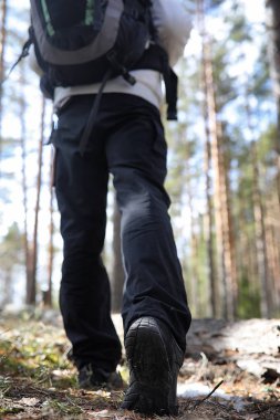 Bir turist bir çam ormanı ile bir sırt çantası içinde bir adamdır. A tr hiking