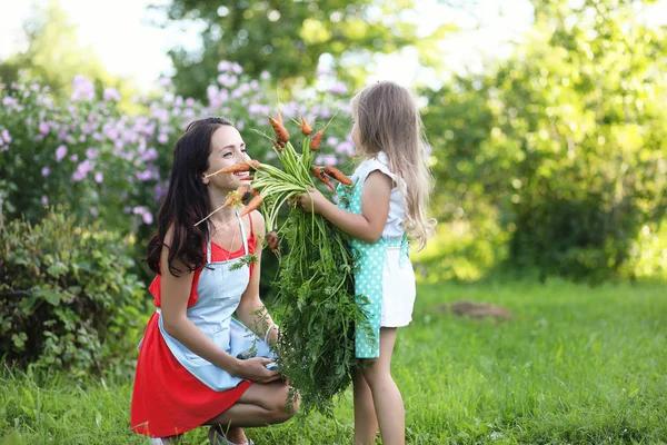 Girl with a harvest of vegetables in the garden — Stock Photo, Image