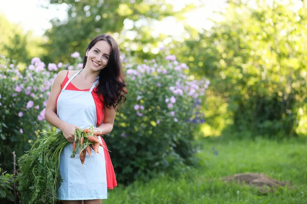 Flicka med en skörd av grönsaker i trädgården — Stockfoto