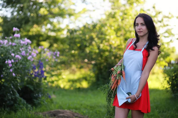 Girl with a harvest of vegetables in the garden — Stock Photo, Image