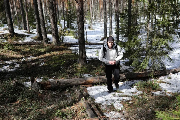 En man är turist i en tallskog med en ryggsäck. A vandring tr — Stockfoto