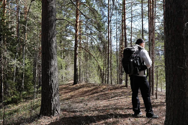 Ο άνθρωπος είναι ένας τουρίστας σε ένα πευκόφυτο δάσος με ένα σακίδιο. Μια πεζοπορία tr — Φωτογραφία Αρχείου