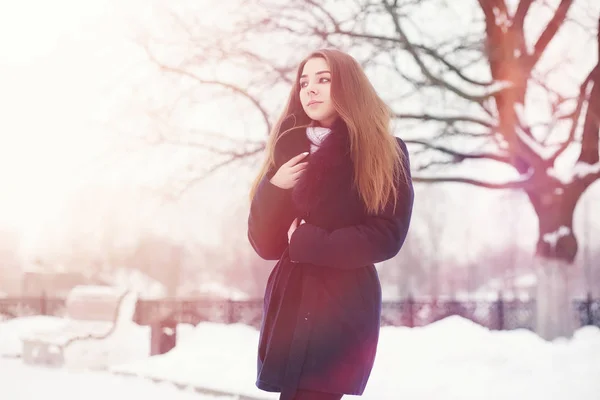 Une jeune fille dans un parc d'hiver en promenade. Vacances de Noël en t — Photo