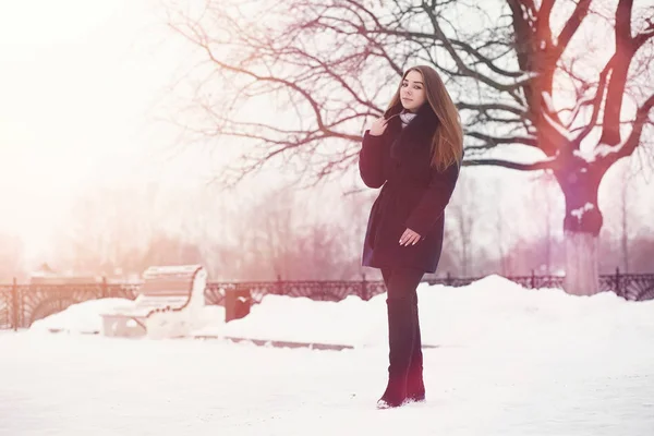 Une jeune fille dans un parc d'hiver en promenade. Vacances de Noël en t — Photo