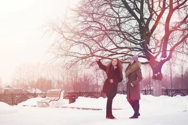 Una joven en un parque de invierno en un paseo. Vacaciones de Navidad en t —  Fotos de Stock