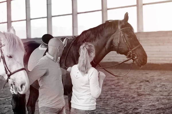 Jongeren op een paardentraining in houten arena — Stockfoto