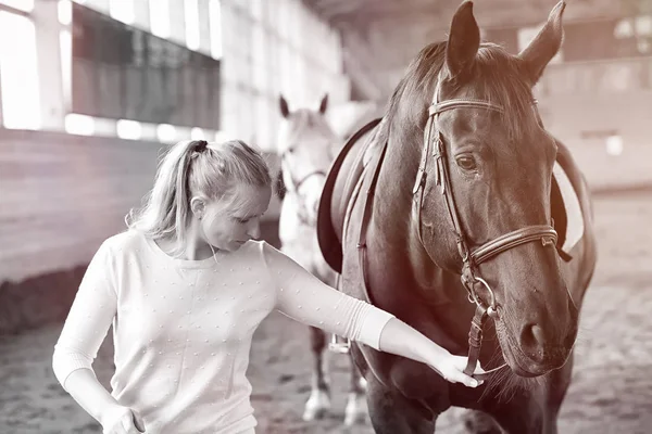 Young people on a horse training in wooden arena — Stock Photo, Image