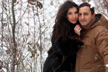 Genç bir çift bir kış Parkta yürümek