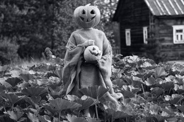 Kafası kabaktan oyulmuş.