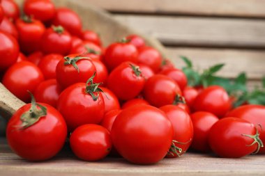 Taze domates bitki bir ahşap kase