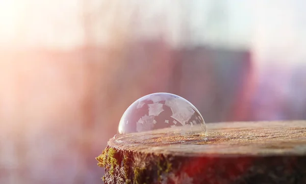 As bolhas de sabão congelam no frio. A água ensaboada do inverno congela em t — Fotografia de Stock