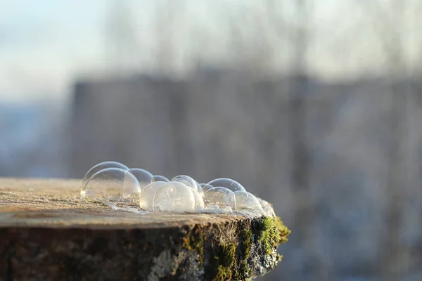 Bule de săpun îngheța în frig. Apa cu săpun de iarnă îngheață în t — Fotografie, imagine de stoc