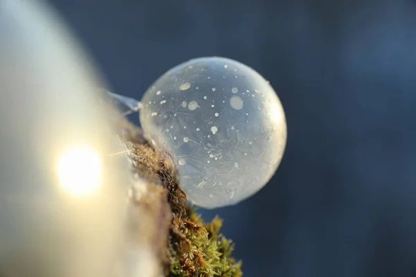 Las burbujas de jabón se congelan en el frío. Invierno agua jabonosa se congela en t —  Fotos de Stock