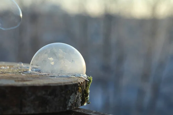 As bolhas de sabão congelam no frio. A água ensaboada do inverno congela em t — Fotografia de Stock