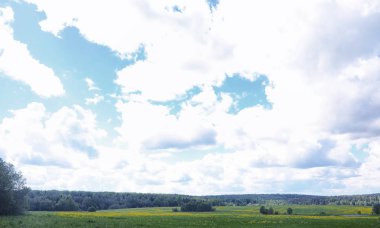 Yatay yaz mevsimindeyiz. Yeşil ağaç ve otların arasında kırsal arazi